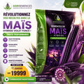 Semences de Maïs Hybride Violet Foncé B